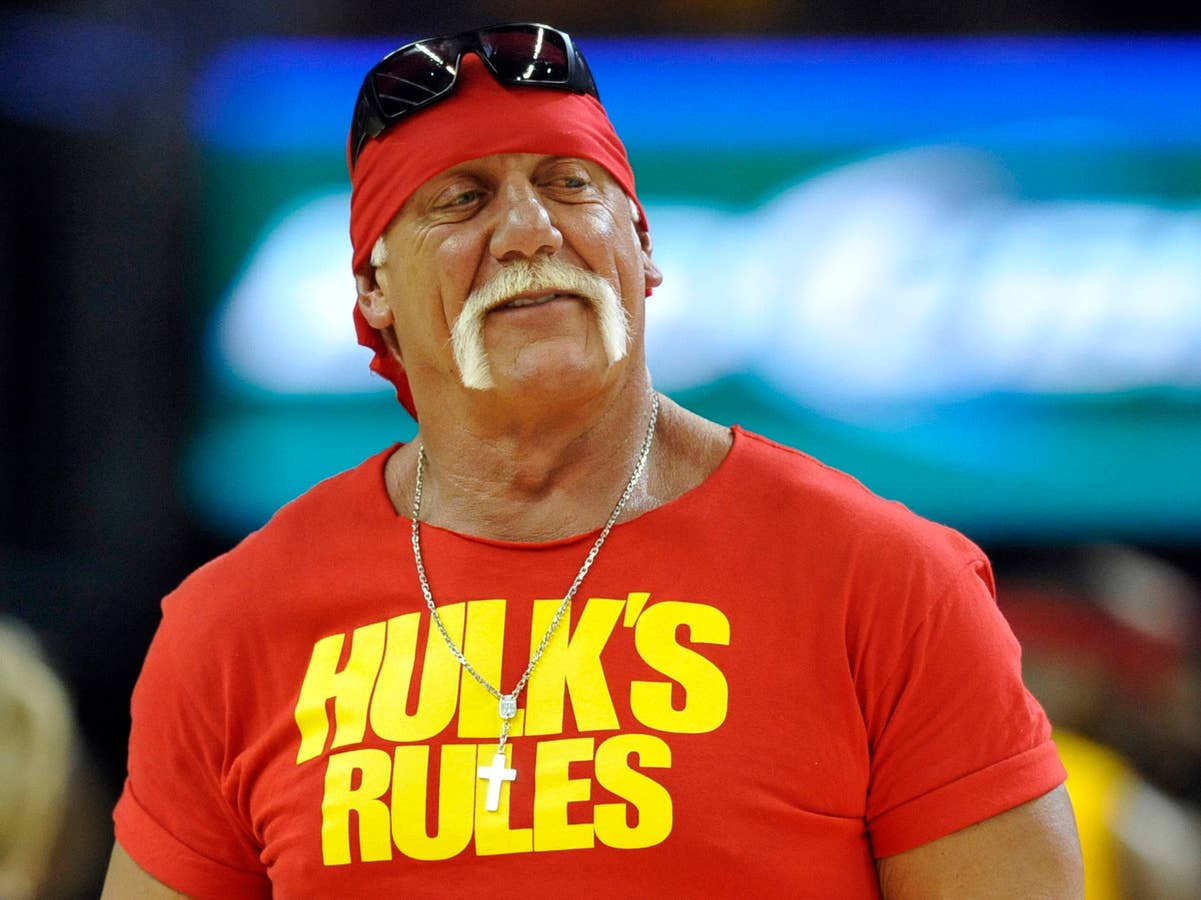 professional-wrestler-hulk-