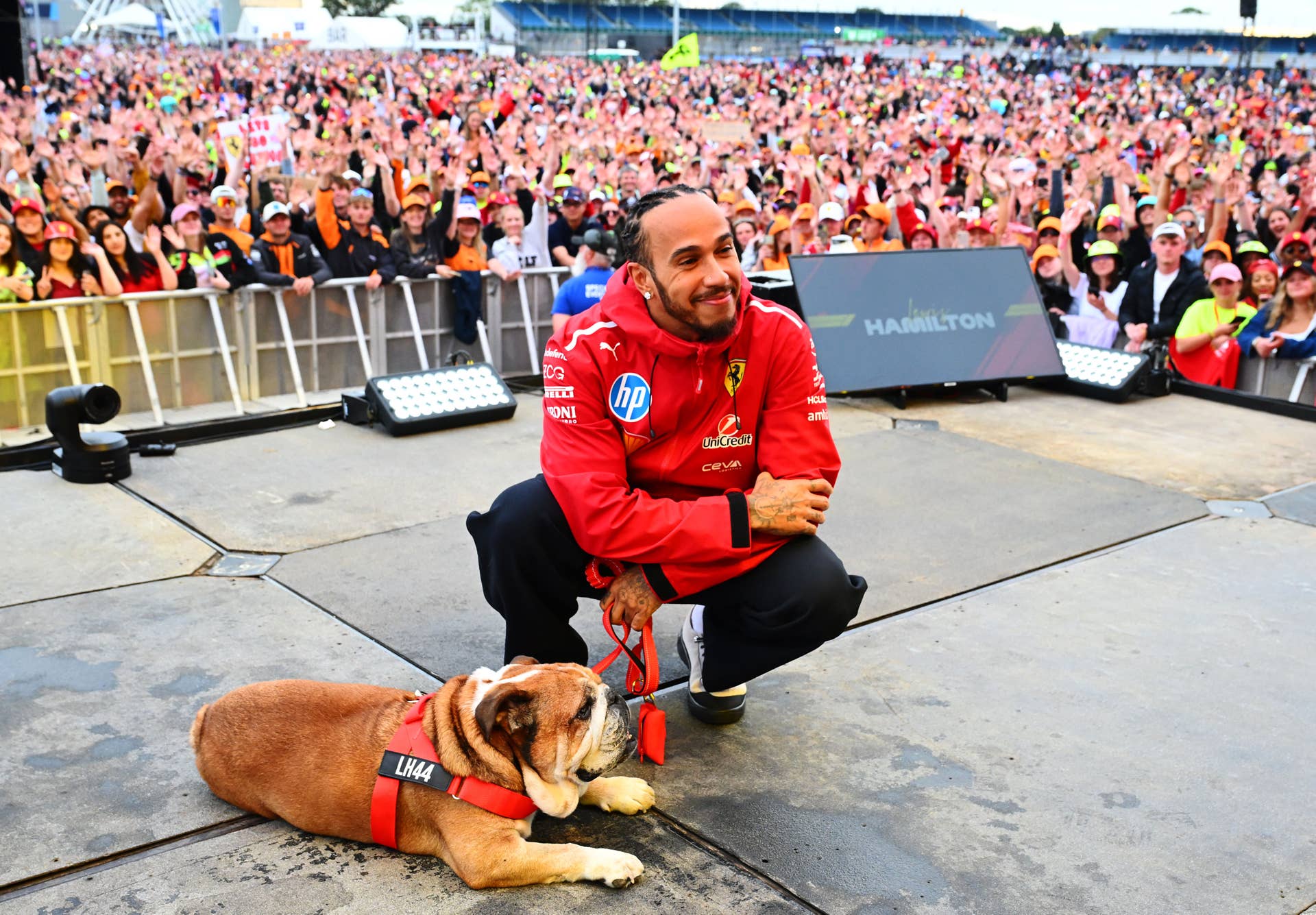 Lewis Hamilton Shares Heartfelt Update on Roscoe - Athlon Sports