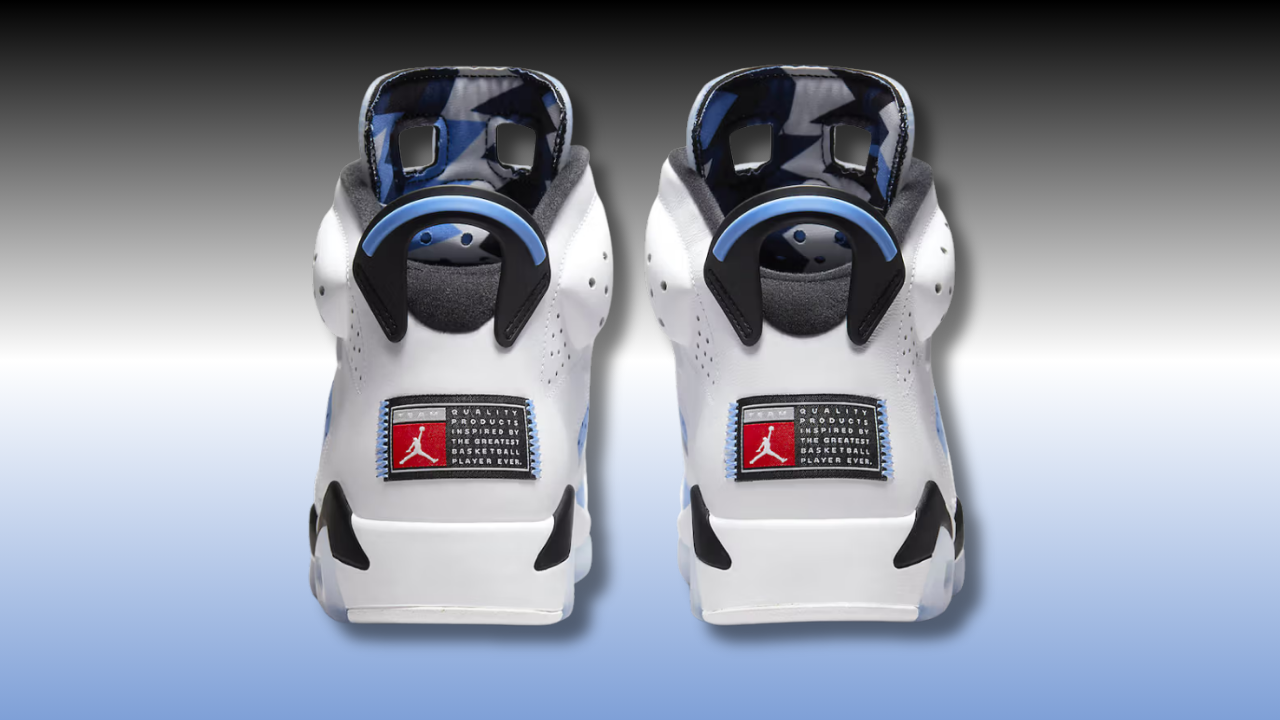 Air Jordan 6 
