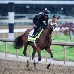 DraftKings Kentucky Derby: Can You Bet on the Kentucky Derby with DraftKings in 2026?