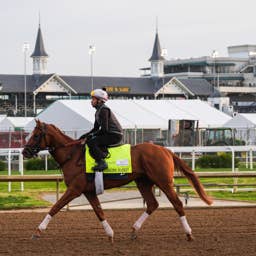 FanDuel Kentucky Derby Betting: Can You Bet on the Derby with FanDuel This Year?