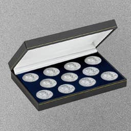 Give Dad a Meaningful Gift for Father's Day With an 11-Piece Susan B. Anthony Dollar Coin Collection 