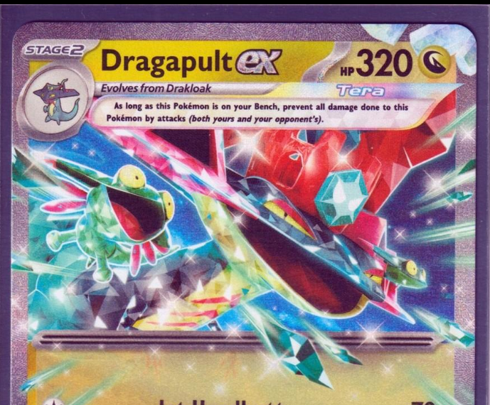pasadena pokemon card show ALL the SEALED at Front Row Card Show Pasadena (Vendor POV/One Piece  TCG/Pokemon TCG/Union Arena)
