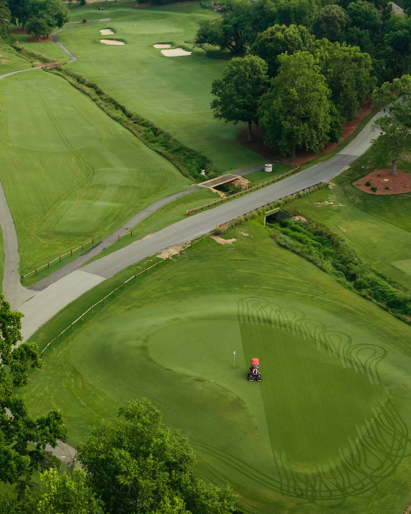 The Sedgefield Scramble: Greensboro’s High-Stakes Cut Line — image 6