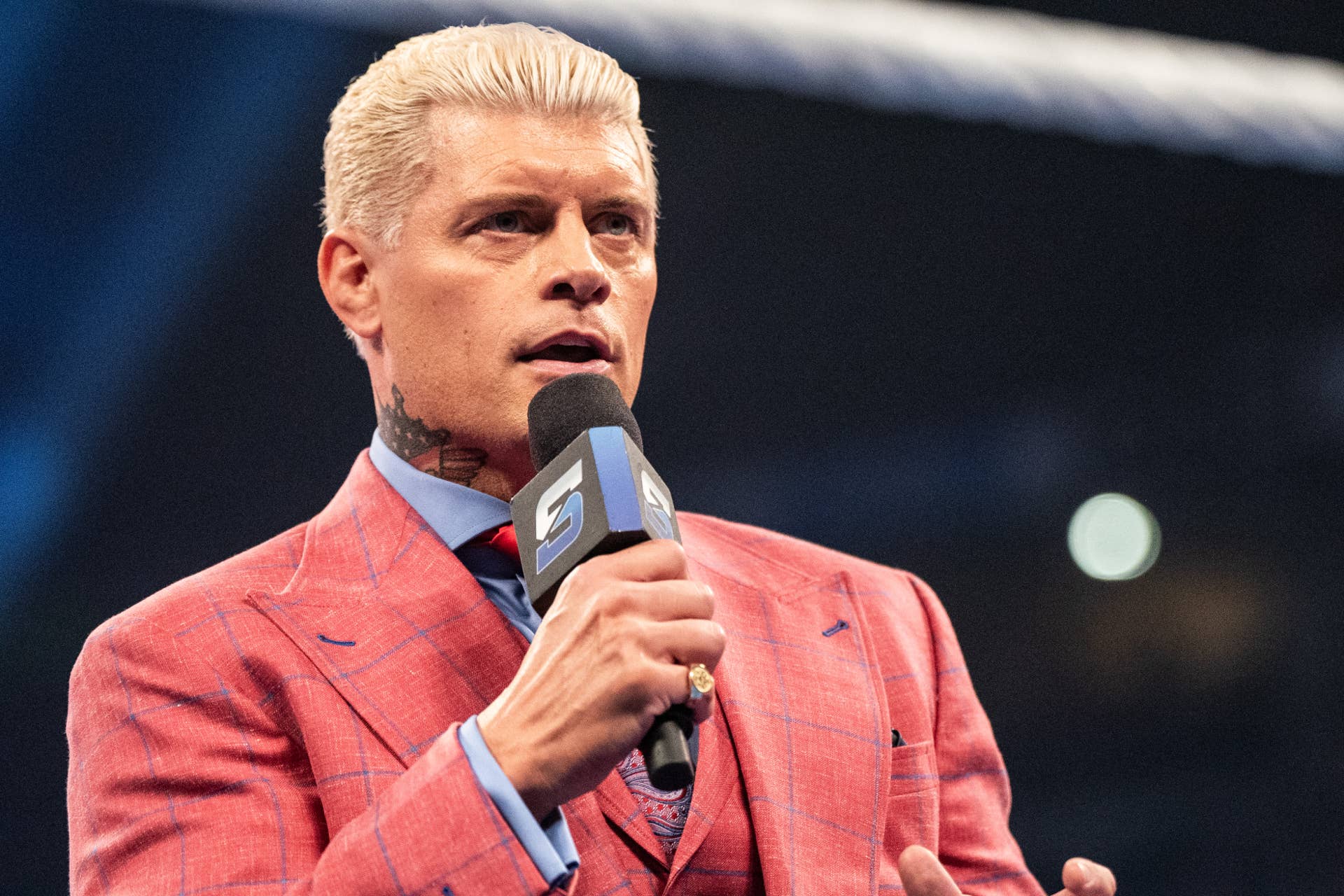 Harrison Rhodes Writer Meet Cody Rhodes' Mother Michelle: Confrontation With The Rock, John ...