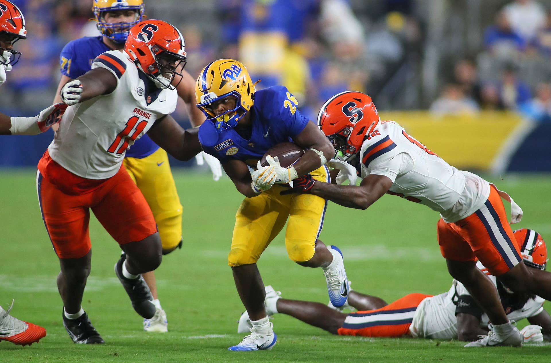Bucknell Bison gegen Pittsburgh Panthers: Prognose, Tipps & Quoten für ...