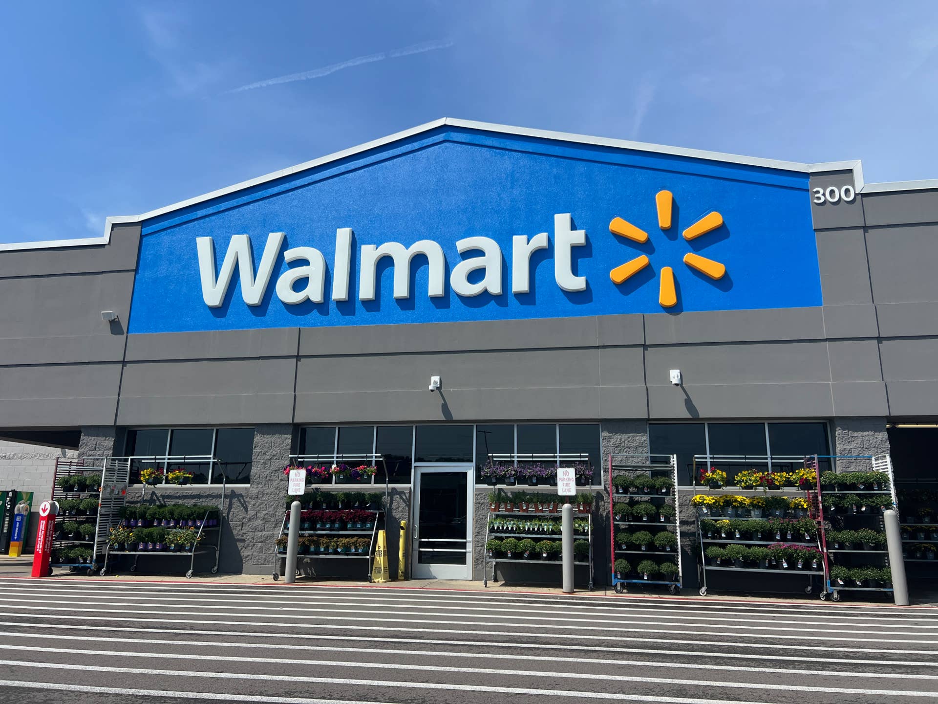 Walmart’s $4 Fleece Throw Blankets Come in 6 Prints for Cozy Nights on ...