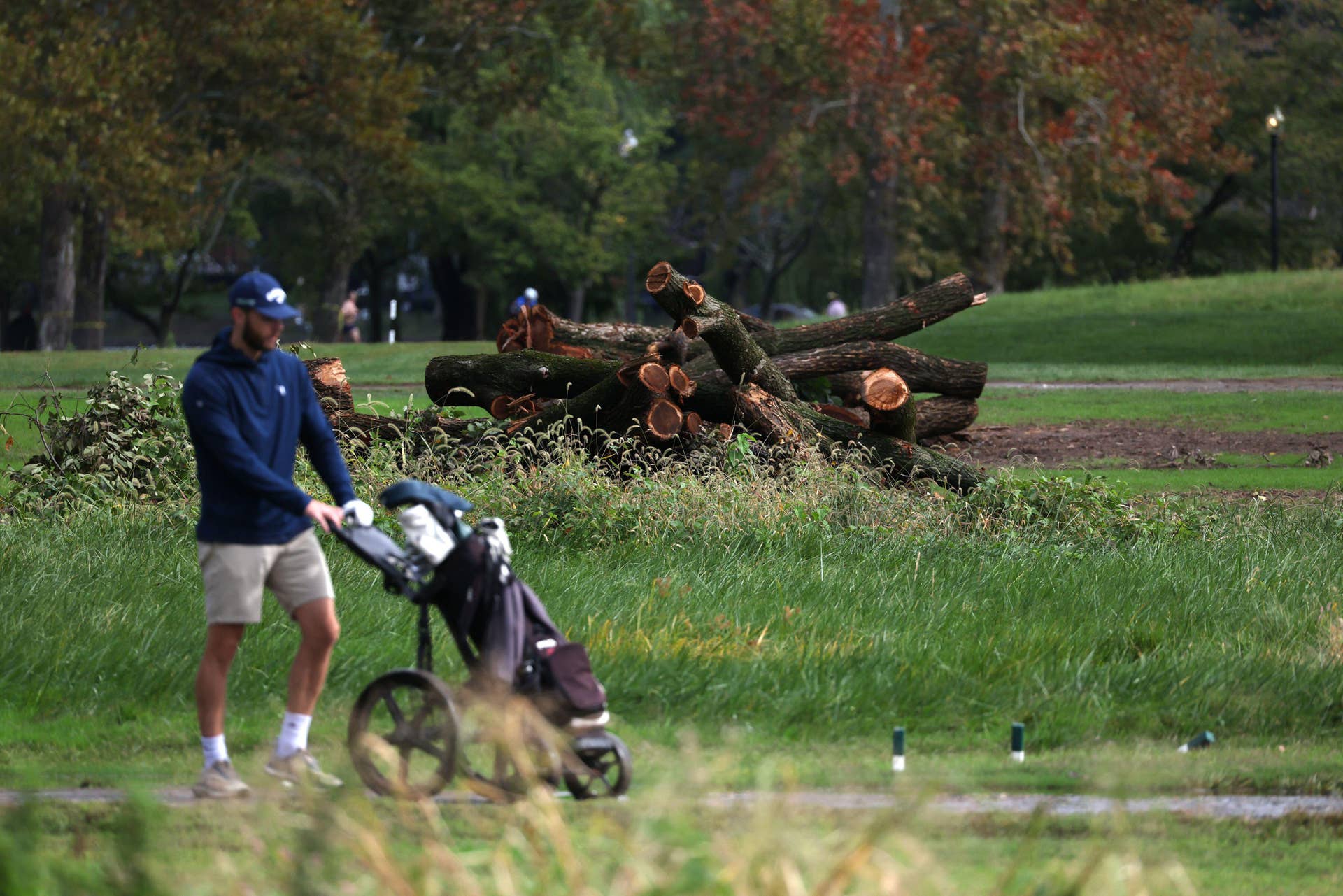 East Potomac Judge Says Government Lost Credibility After Tree Cutting ...