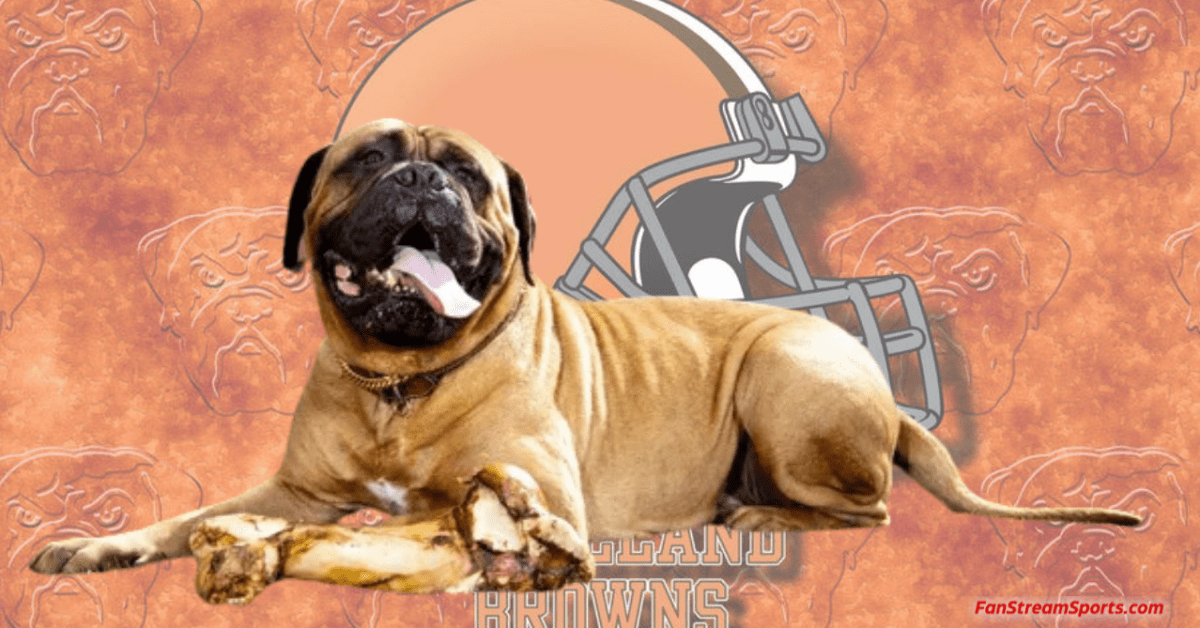 Cleveland Browns Urged To End Live Mascot Tradition After Death of ...