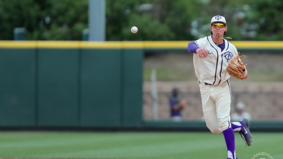 Baseball - Killer Frogs