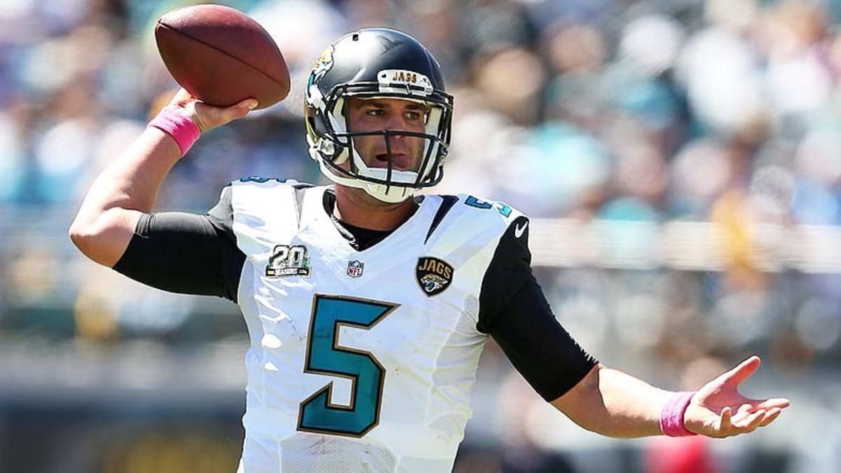 What do I need to know about the 2015 Jacksonville Jaguars? - Dear Sports  Fan