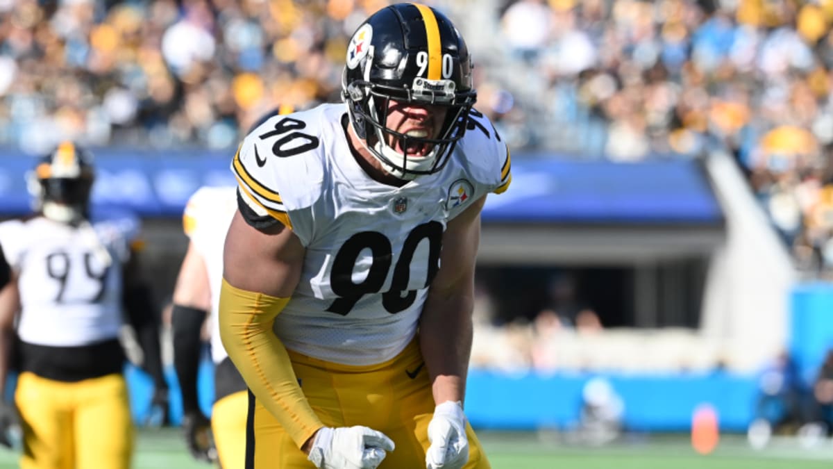 Pittsburgh Steelers OLB T.J. Watt talks about pool plunge: 'I don