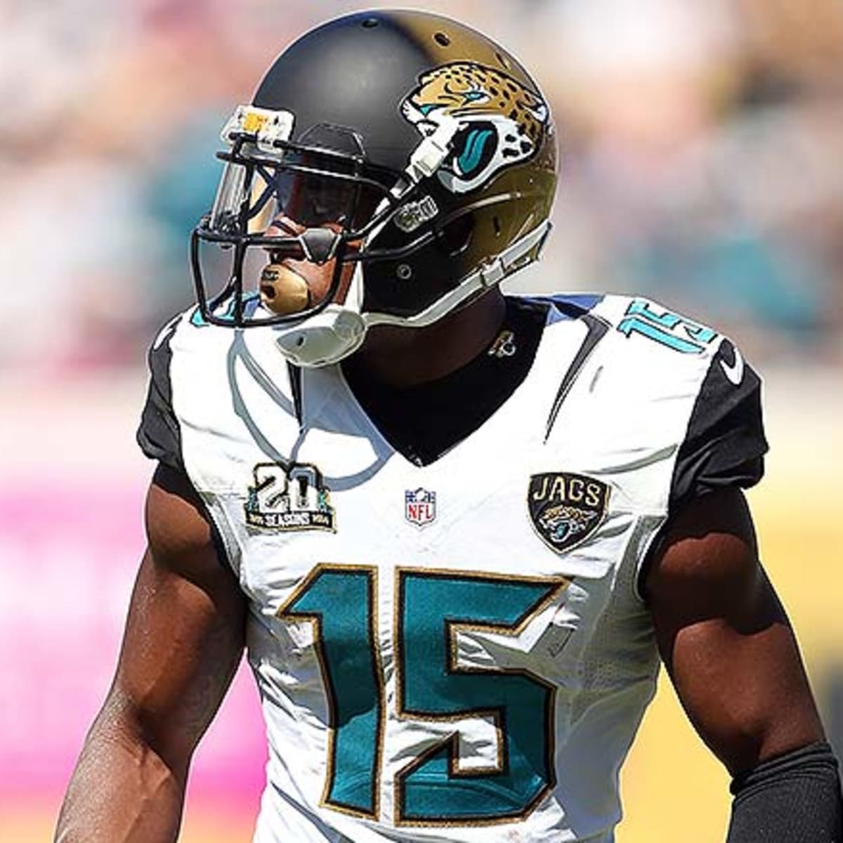 Jacksonville Jaguars: A Look at No. 15 Allen Robinson