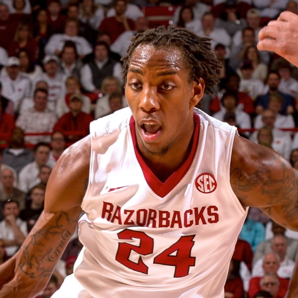 Arkansas Razorbacks Basketball