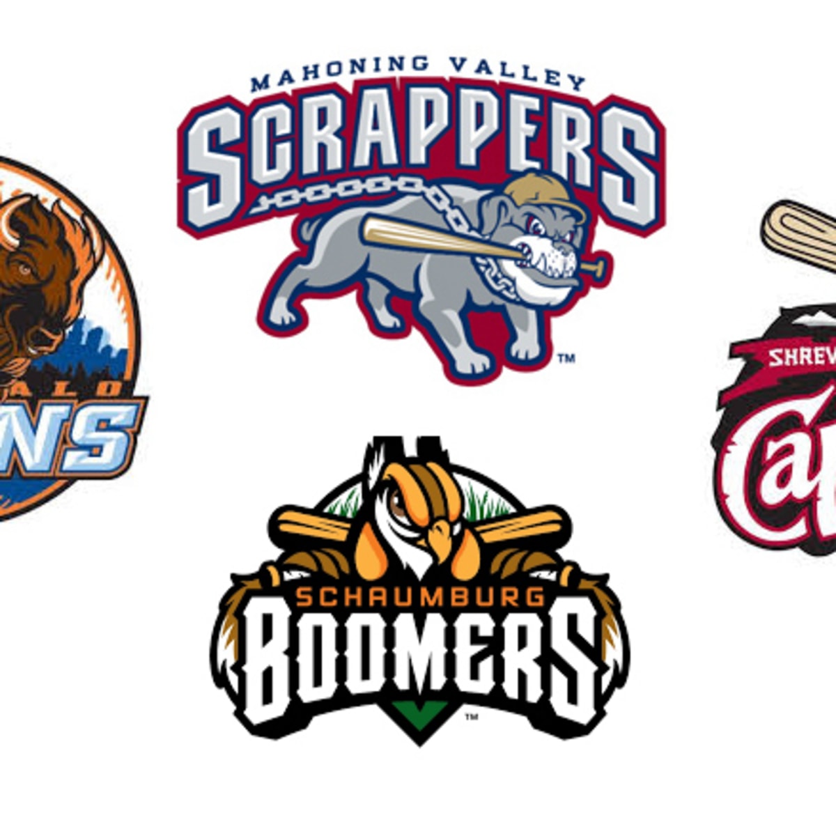 The Weirdest (Best!) Minor League Baseball Team Names 