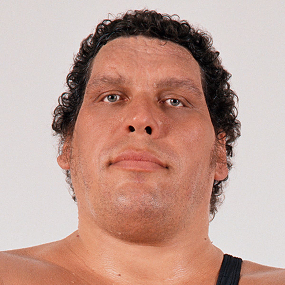 How Tall was Andre the Giant 