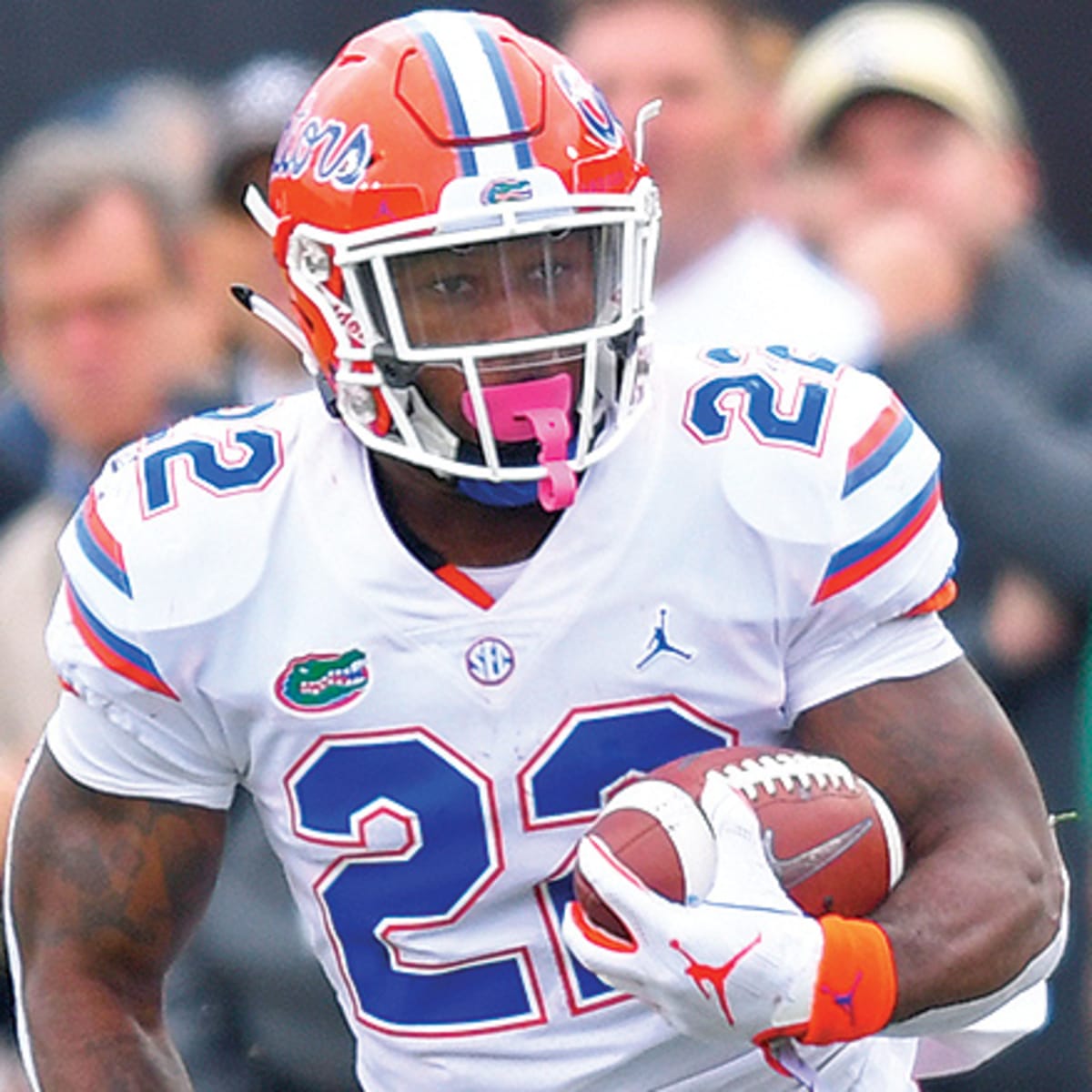 2019 Florida Gators football team - Wikipedia