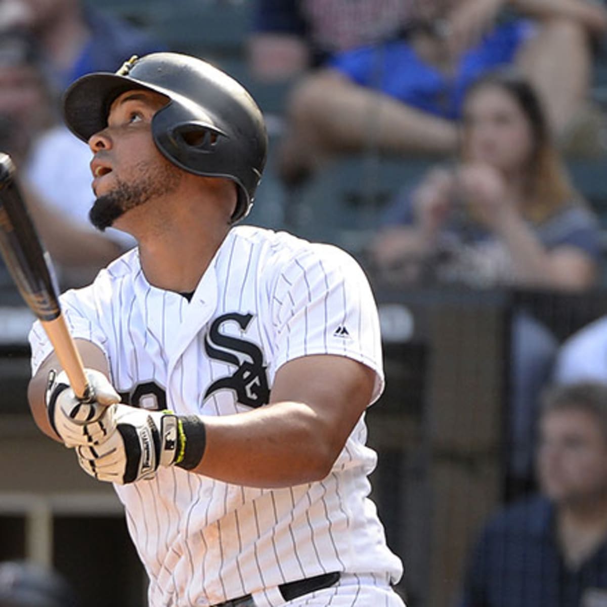 Meet the 2019 Chicago White Sox