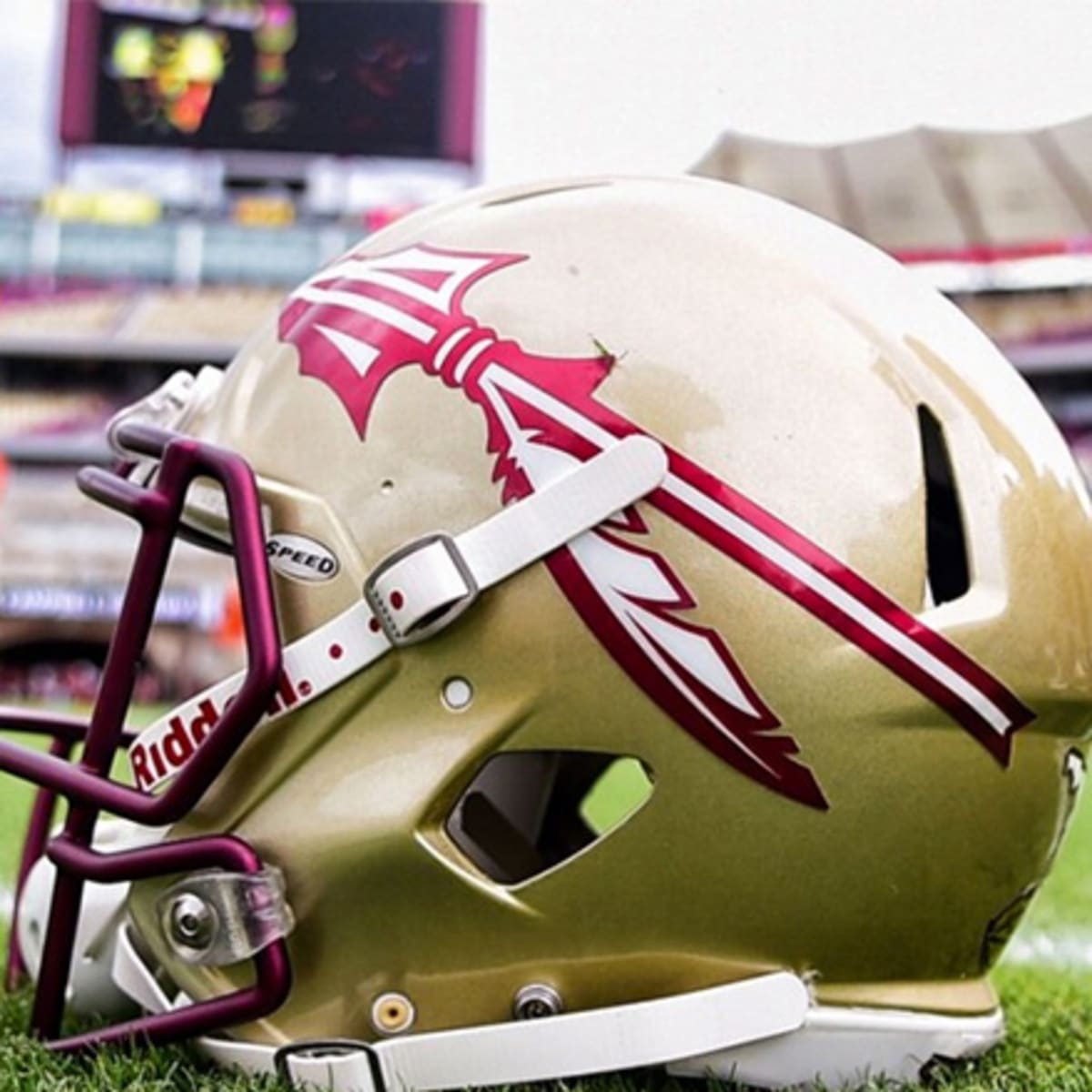 florida state seminoles pictures, Florida State Seminoles