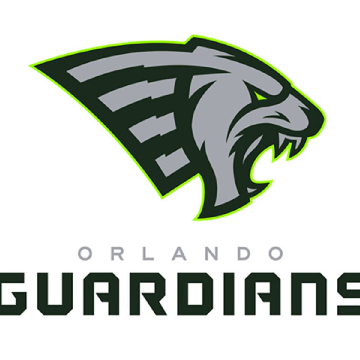 XFL Pre Season Quarterback Rankings: 8. Paxton Lynch Orlando Guardians :  r/OrlandoGuardians