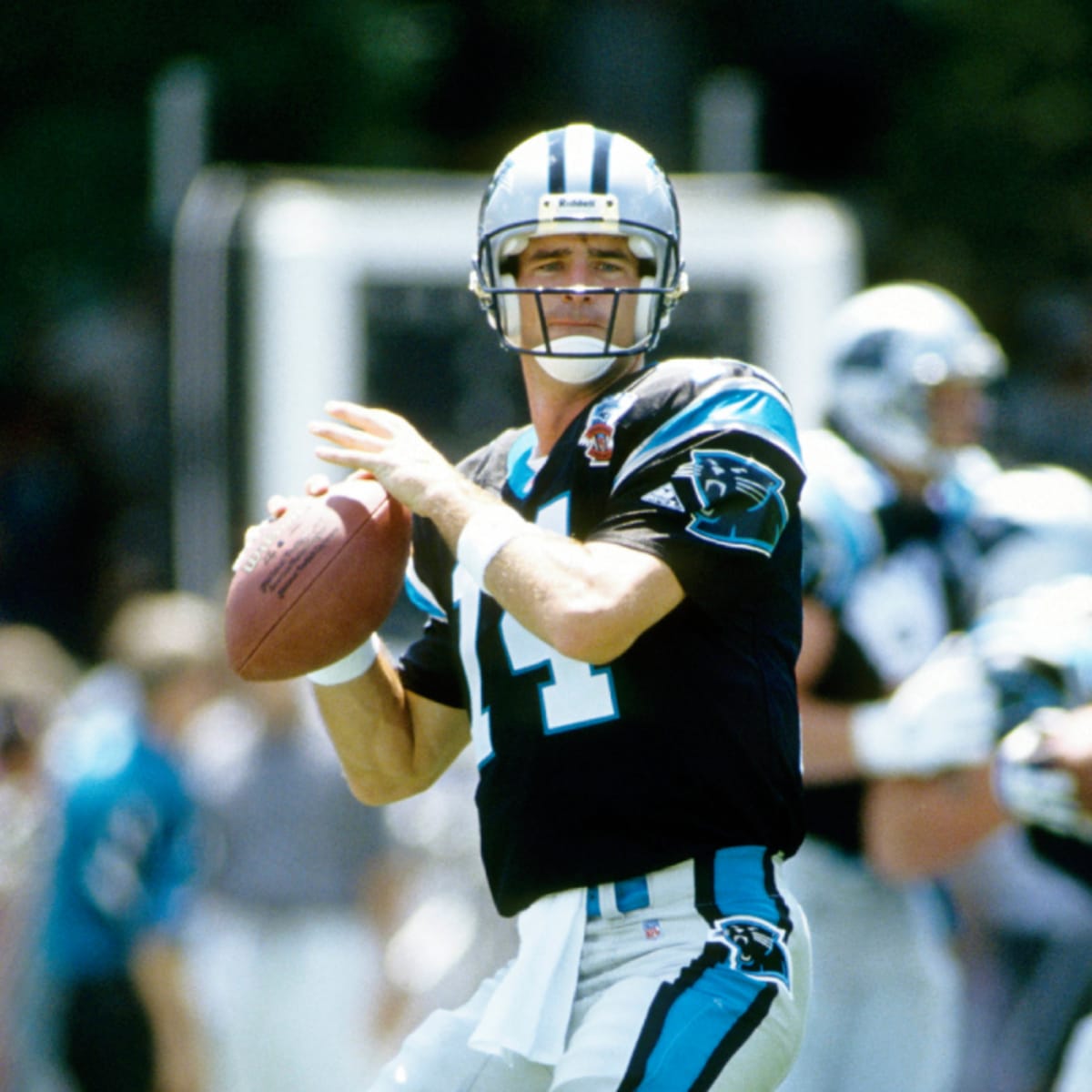 frank reich panthers