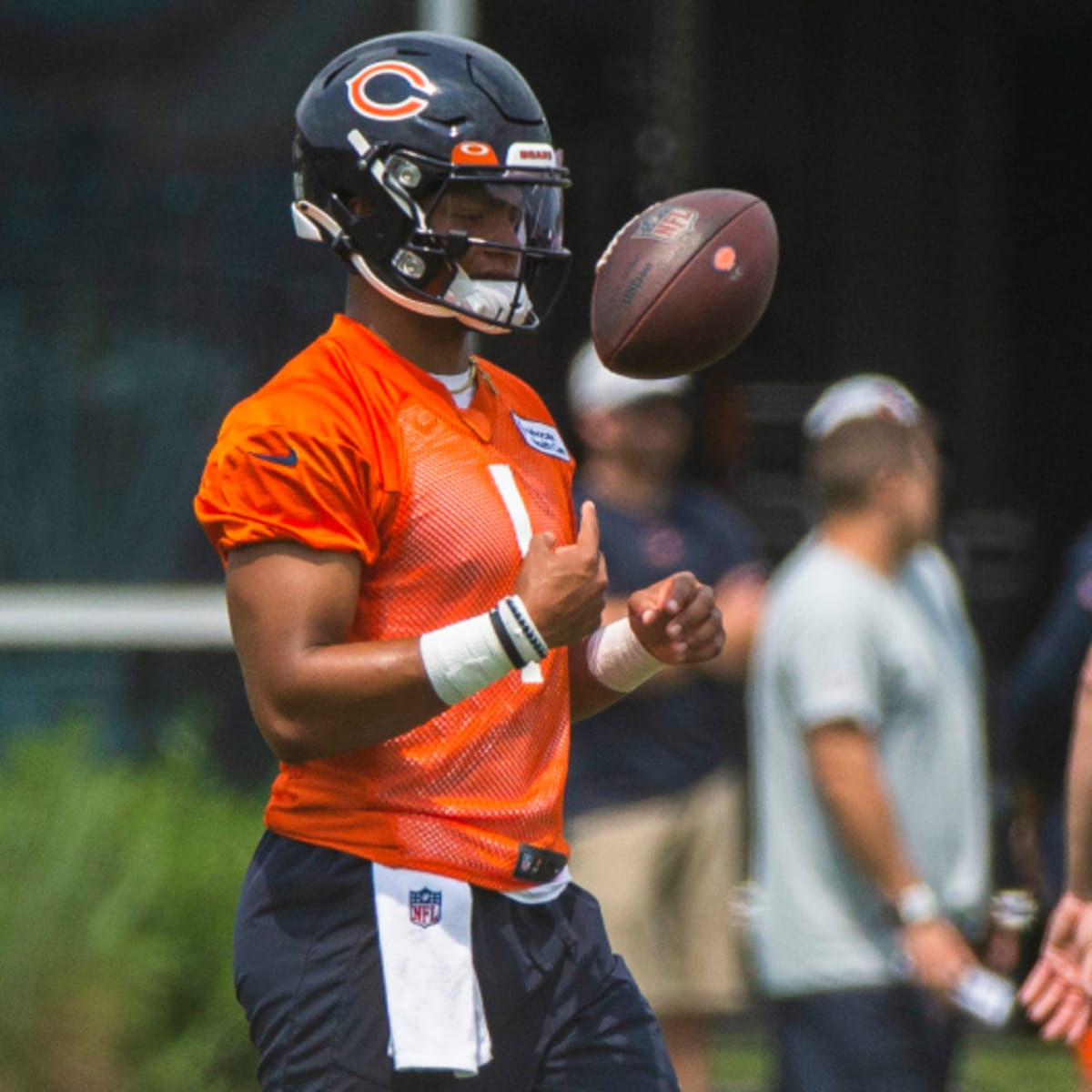 Bears Not Interested in Appearing on HBO's 'Hard Knocks'