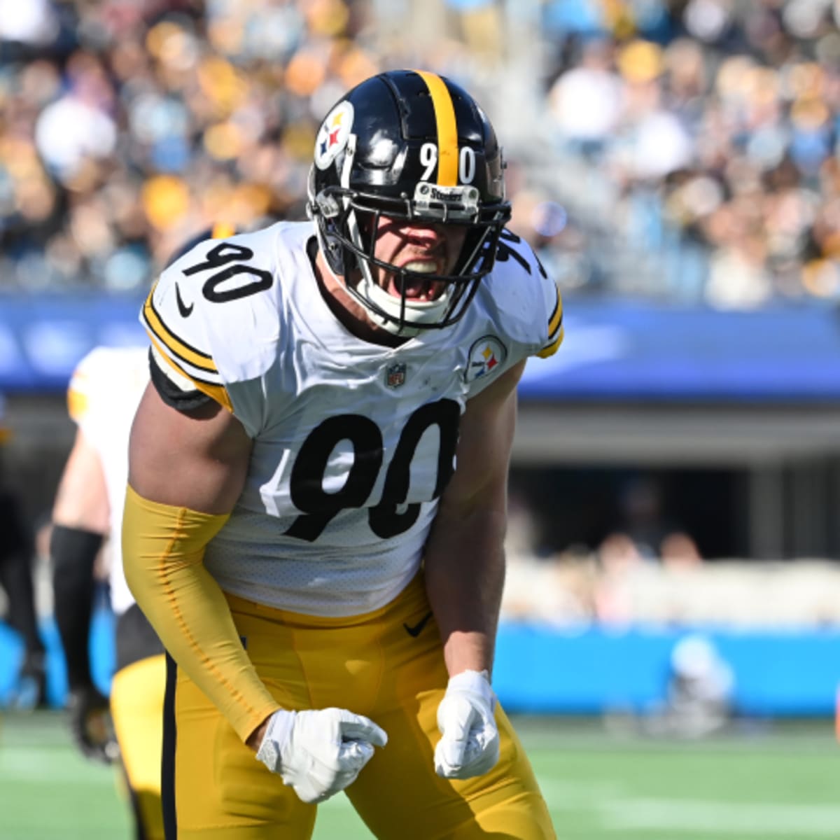 TJ Watt Had NFL Fans Stressed Out Over His Pool Cleaning Misstep Video 