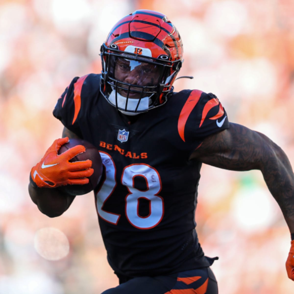 Joe Mixon Fantasy Statistics