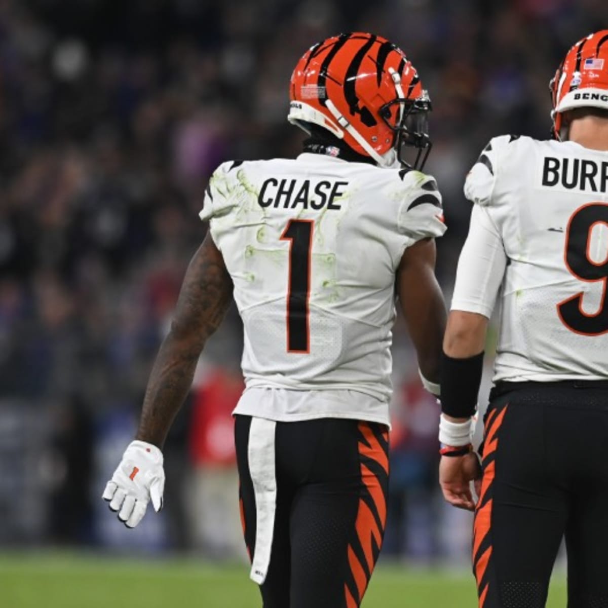 Youthful Bengals charge into sixth season 