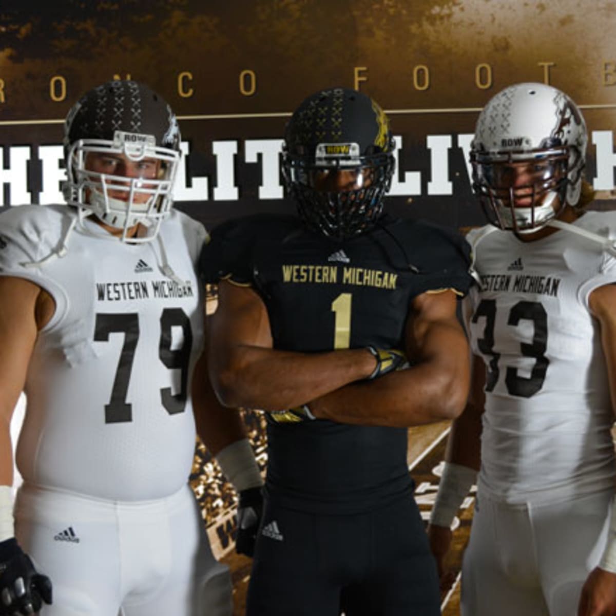 Western michigan football sale