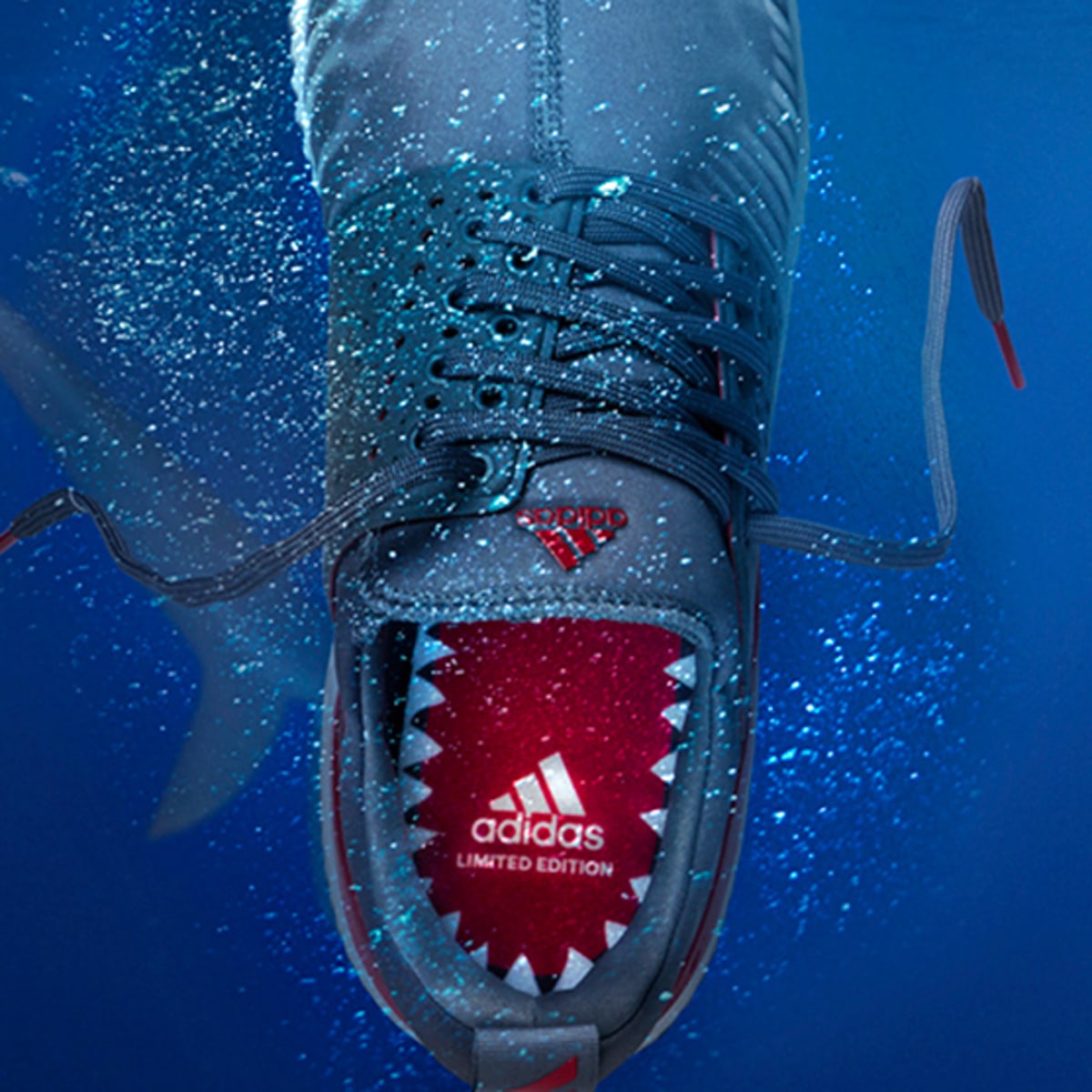 Shark best sale adidas sneakers