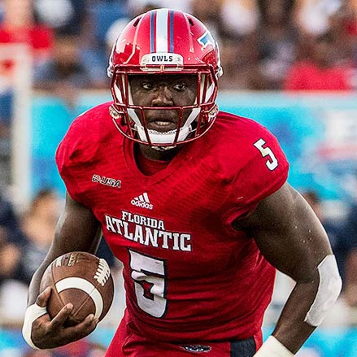 Florida store atlantic football