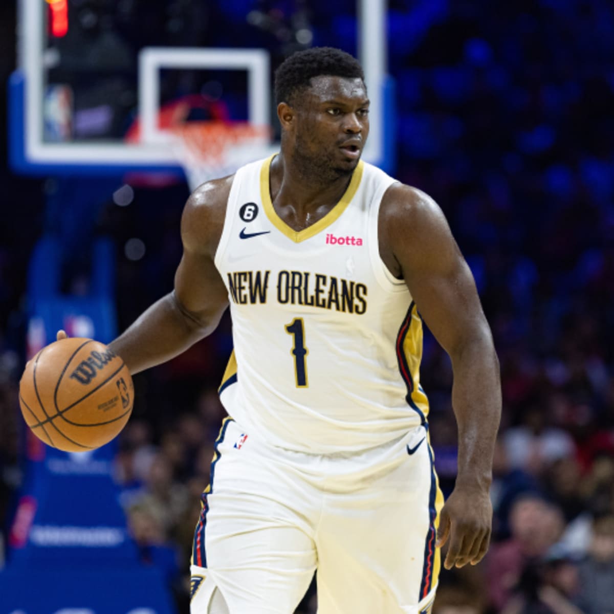 New orleans pelicans moving outlet