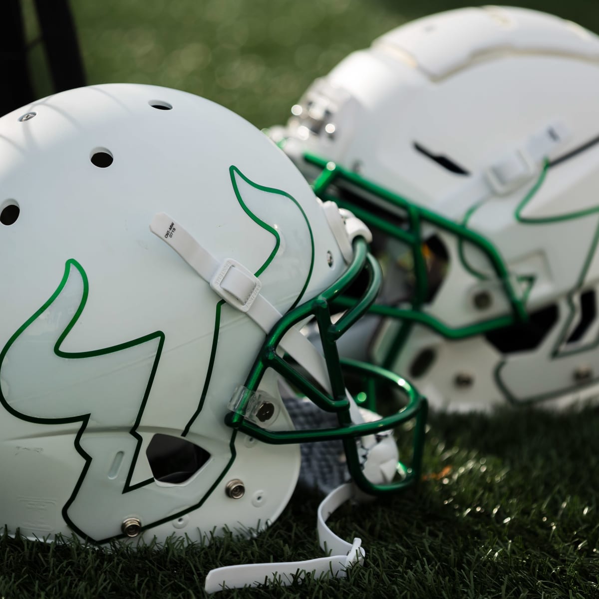 247 sports usf new arrivals