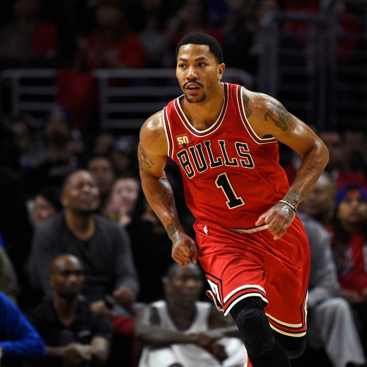 Rose bulls best sale