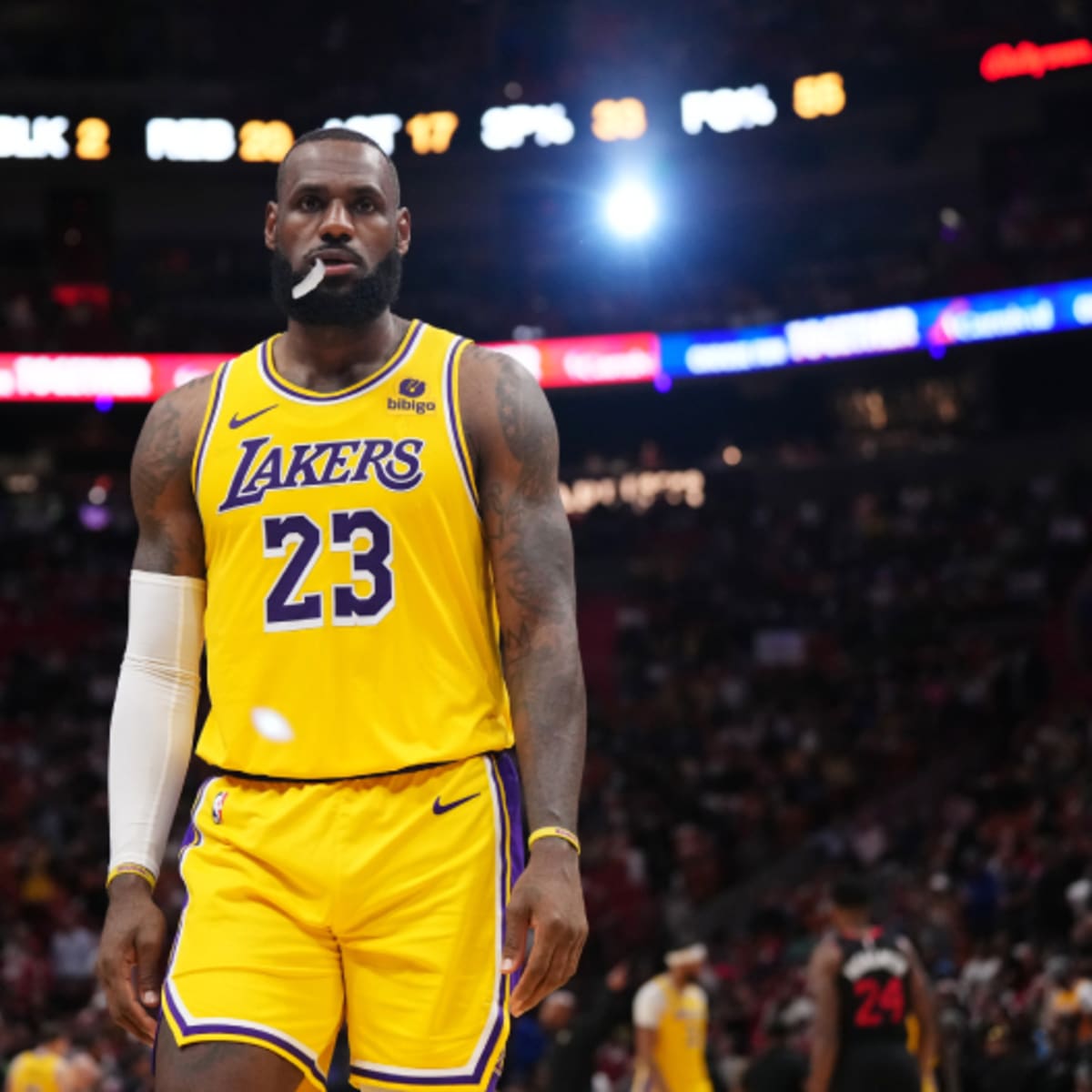 Just don shorts lebron sales