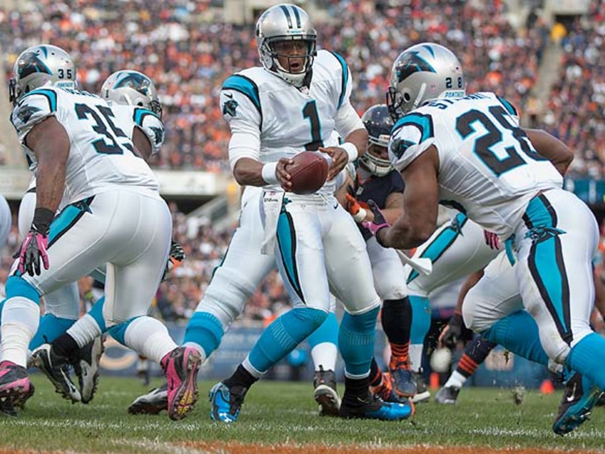 Carolina Panthers tackle Jordan Gross lines up for a play against