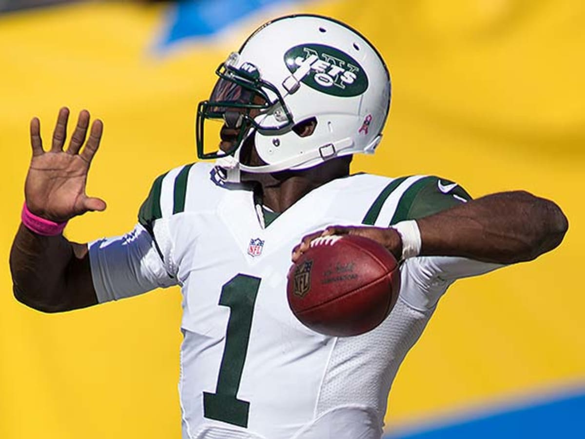 Pittsburgh Steelers Sign Michael Vick — A Question of Team
