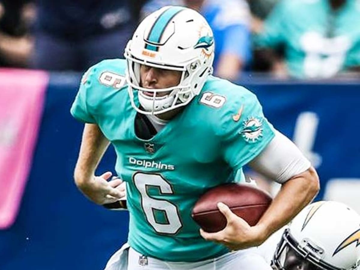 Miami Dolphins beat New York Jets; Jay Cutler injured - Sports