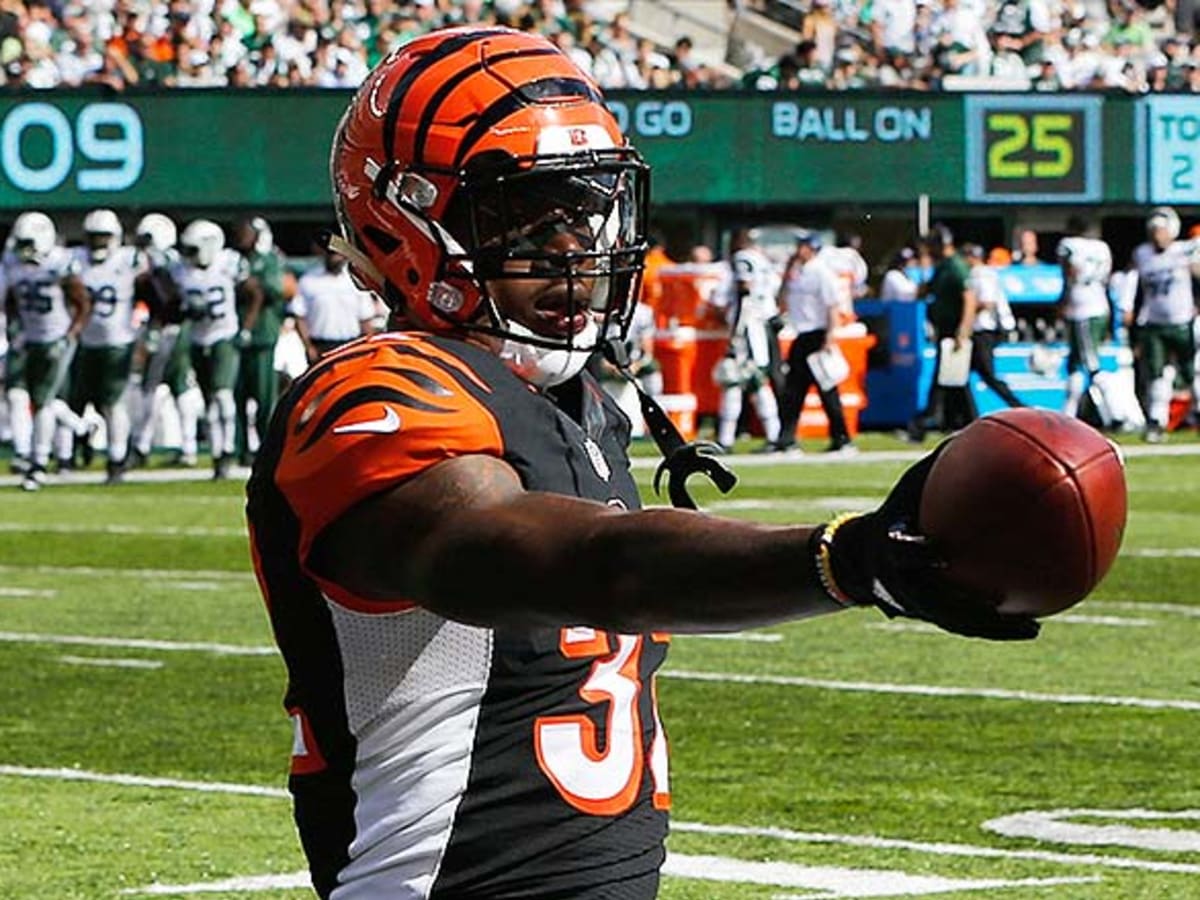 Miami Dolphins vs Cincinnati Bengals Preview