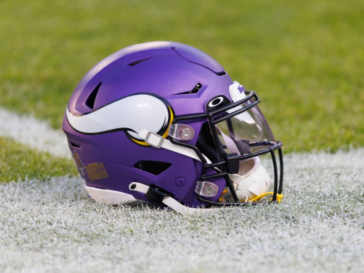 Harrison Smith, 2 players Vikings cut this offseason make first round of  NFL Top 100 announcements - CBS Minnesota