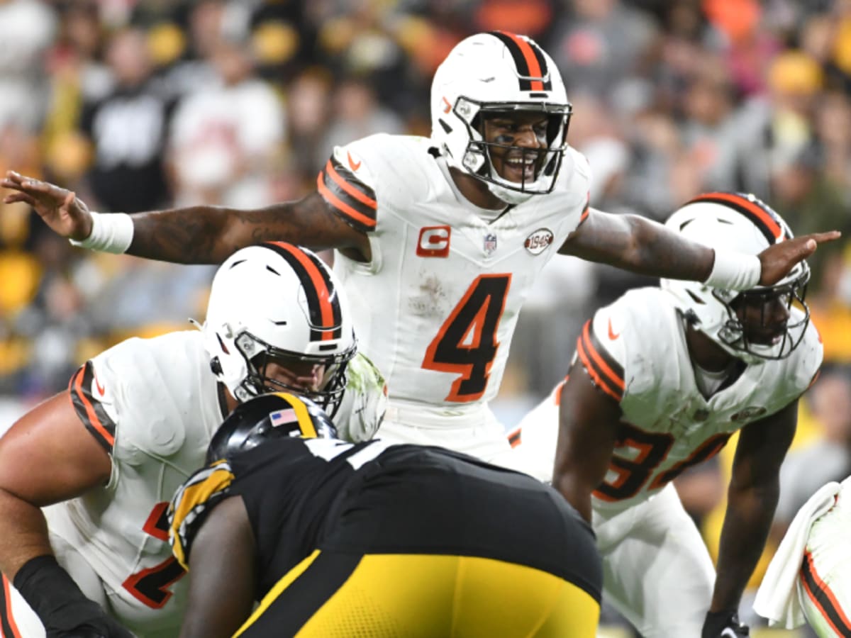 WATCH: Deshaun Watson pushes ref after heated exchange with Steelers  sideline - Behind the Steel Curtain