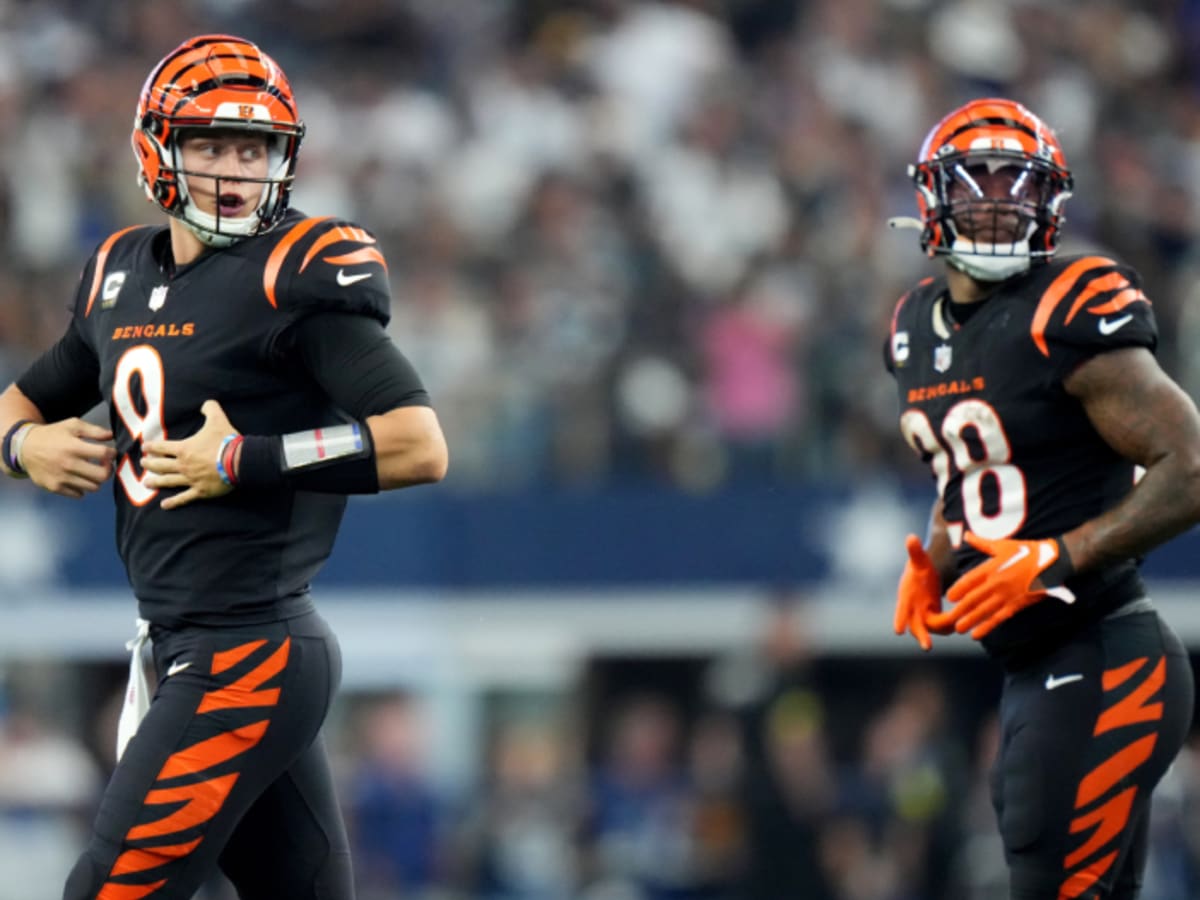 Prediction: What Will Cincinnati Bengals Do at QB With Will Grier