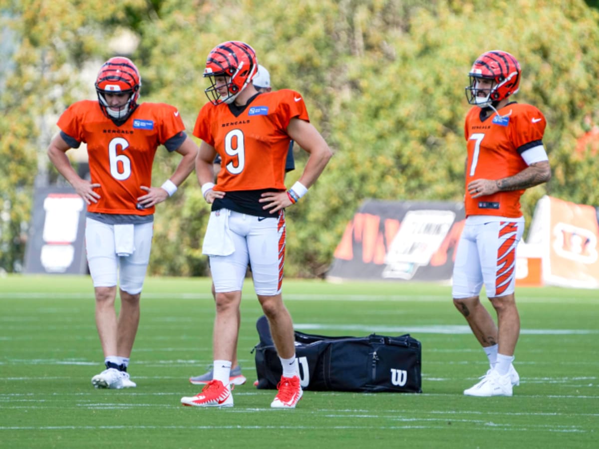 Bengals sign QB Reid Sinnett to practice squad