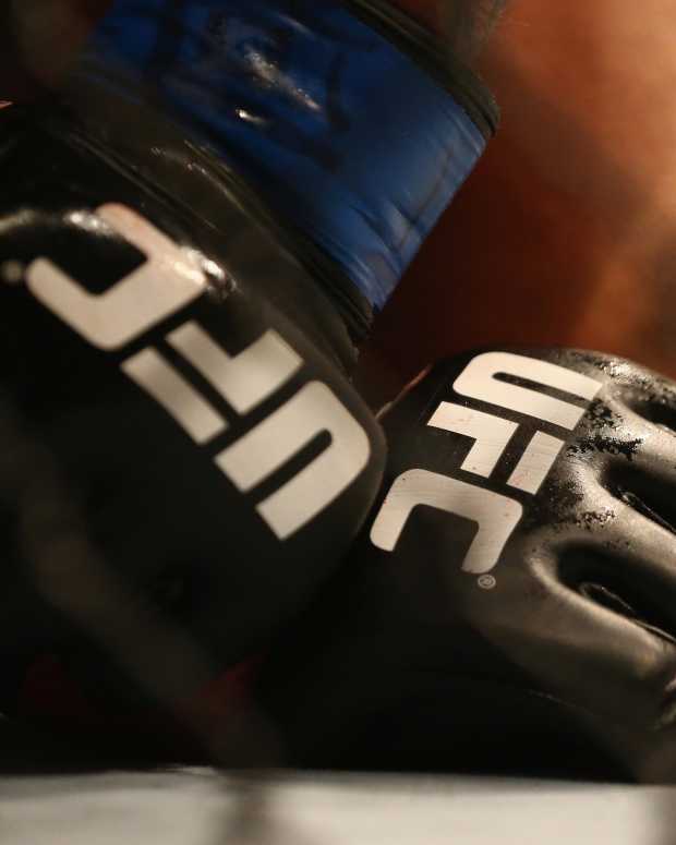 UFC Gloves