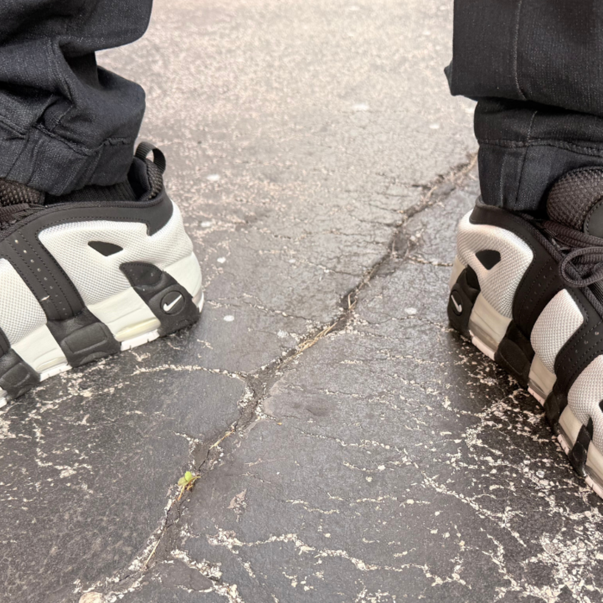 NIKE - popopo nike-scottie-pippen-air-more-