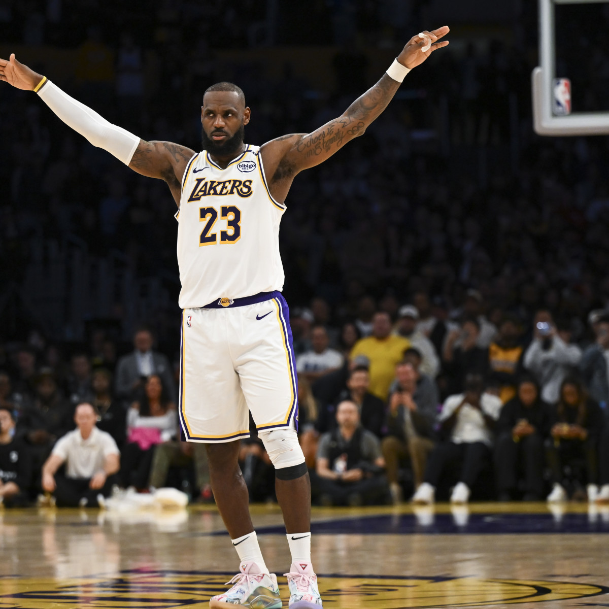 lebron james shoe endorsement