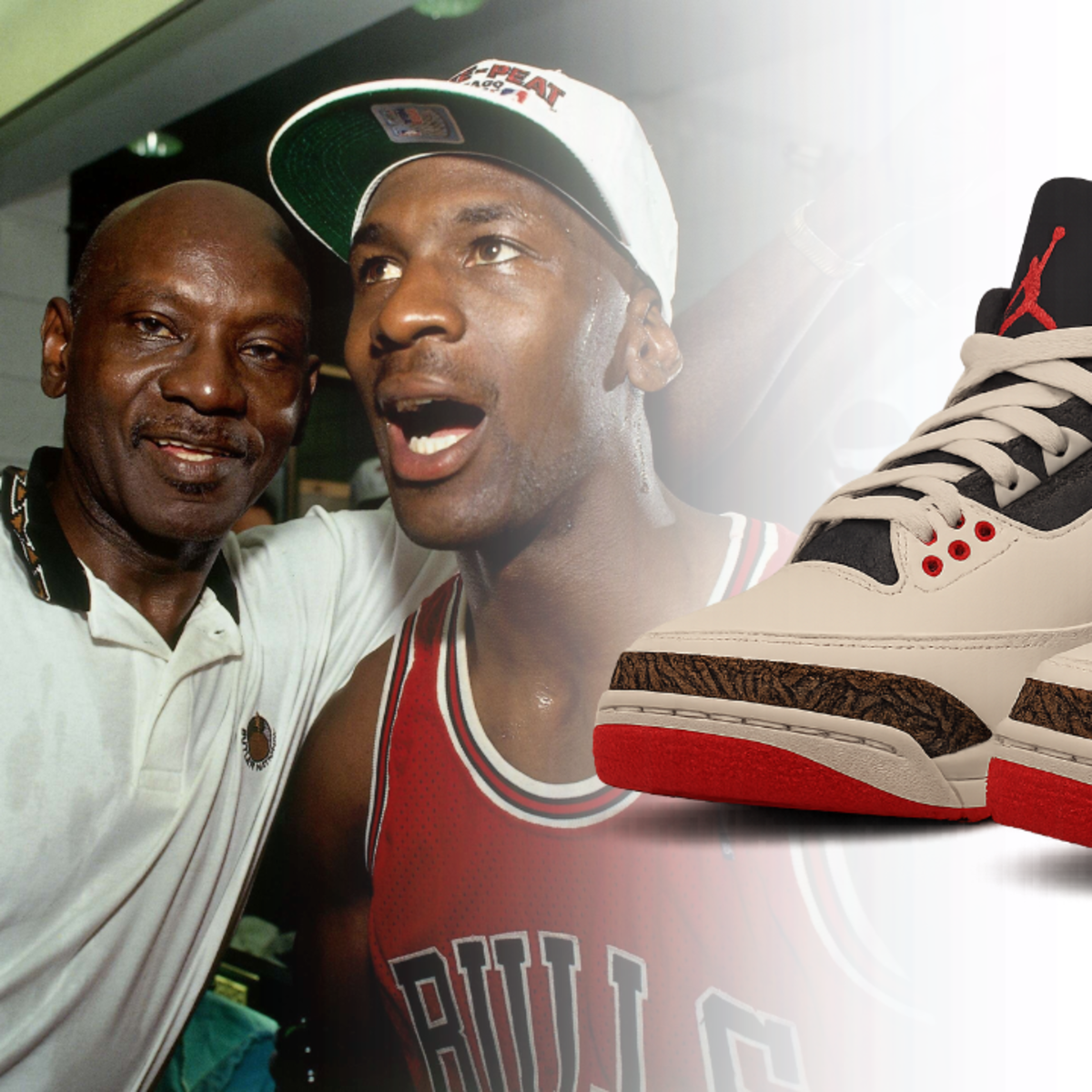 air jordan father's day