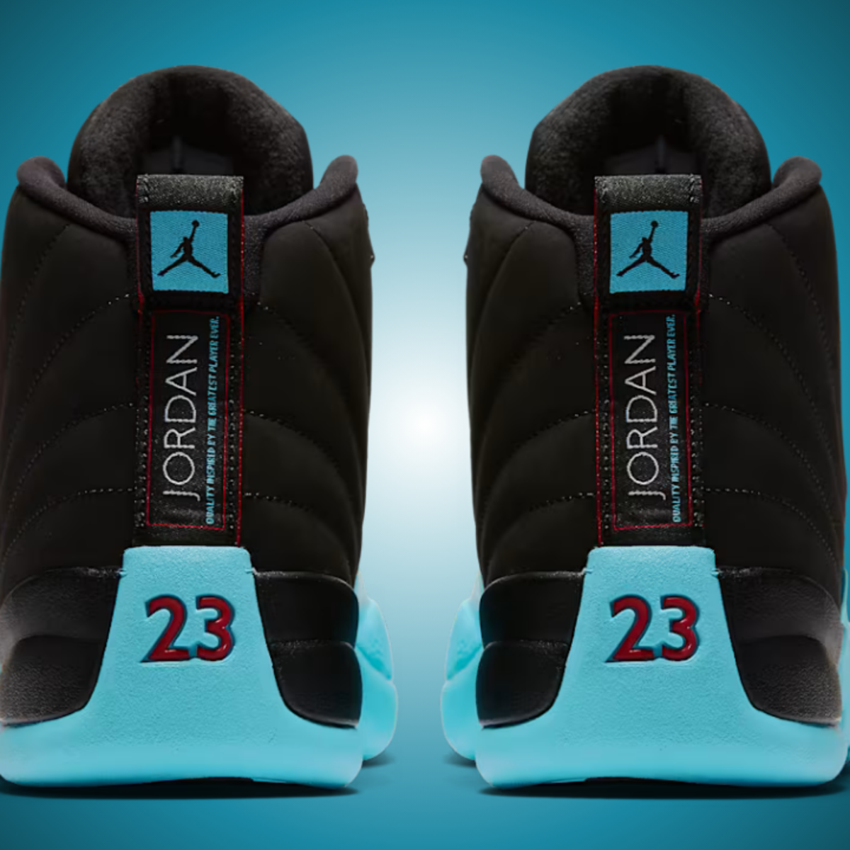 teal and black 12 jordans