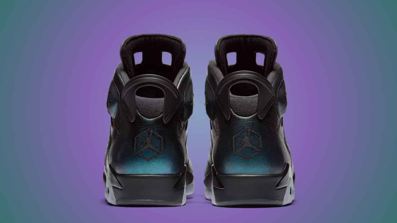 Nike Air Jordan 6 \